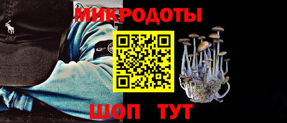 Галлюциногенные грибы прущие грибы Глазов
